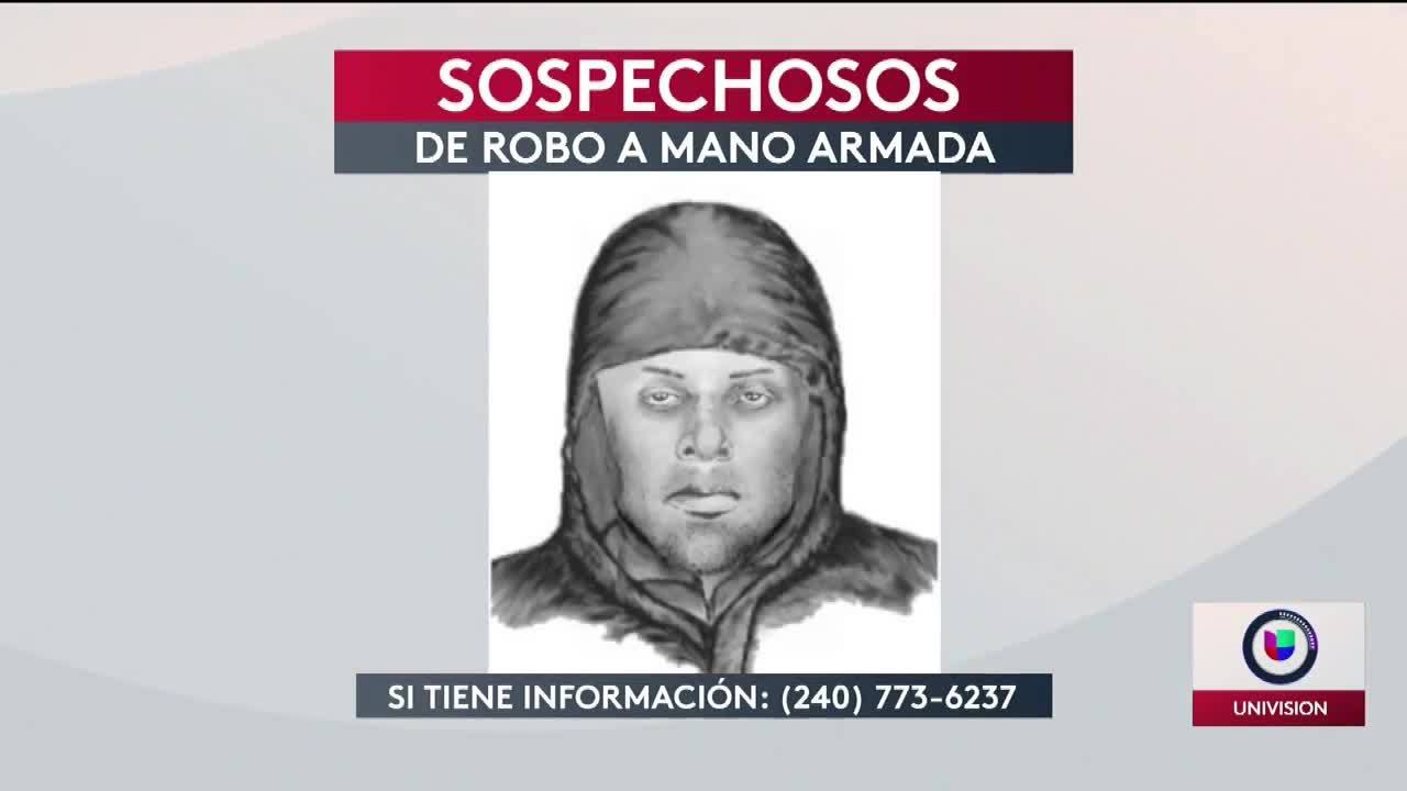 Boceto se buscan