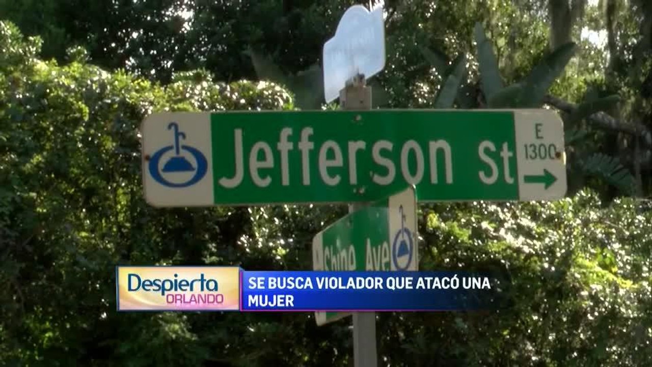 Despierta 1029-1..