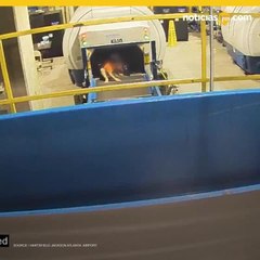 Aterrador momento de niño arrastrado por cinta de equipaje en aeropuerto