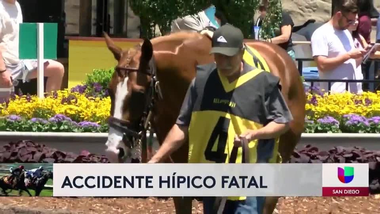 Dos caballos mueren en colisión en Del Mar Race Track