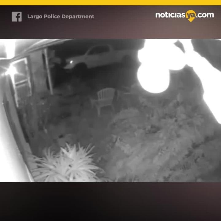 Hombre espía casa de Largo