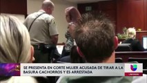 Arrestan a mujer que arrojo a 7 cachorros