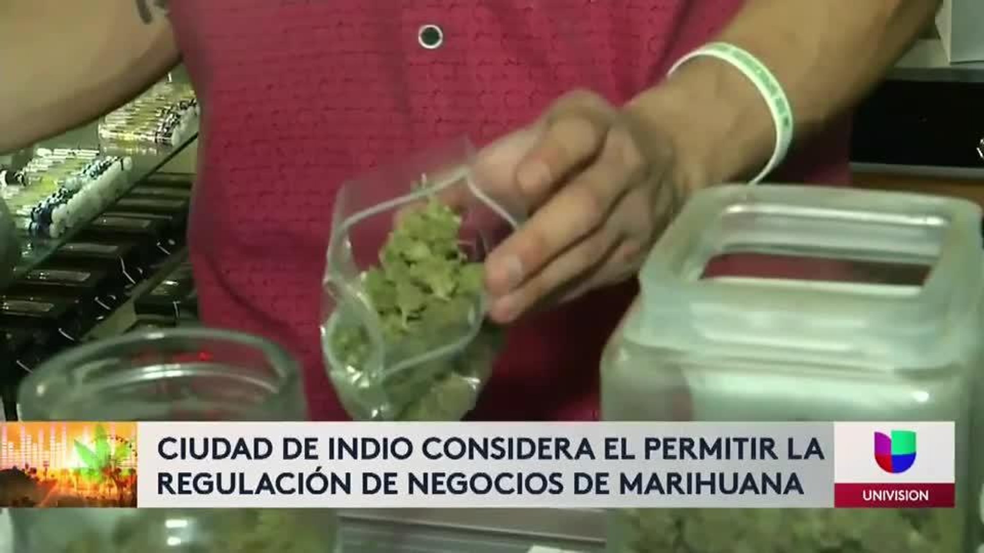 indio cannabis