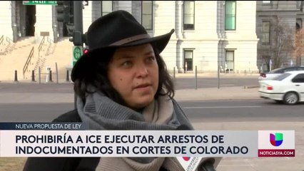 Nueva ley limitaria poder de ICE para capturar indocumentados