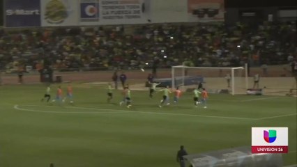 Bravos primera division