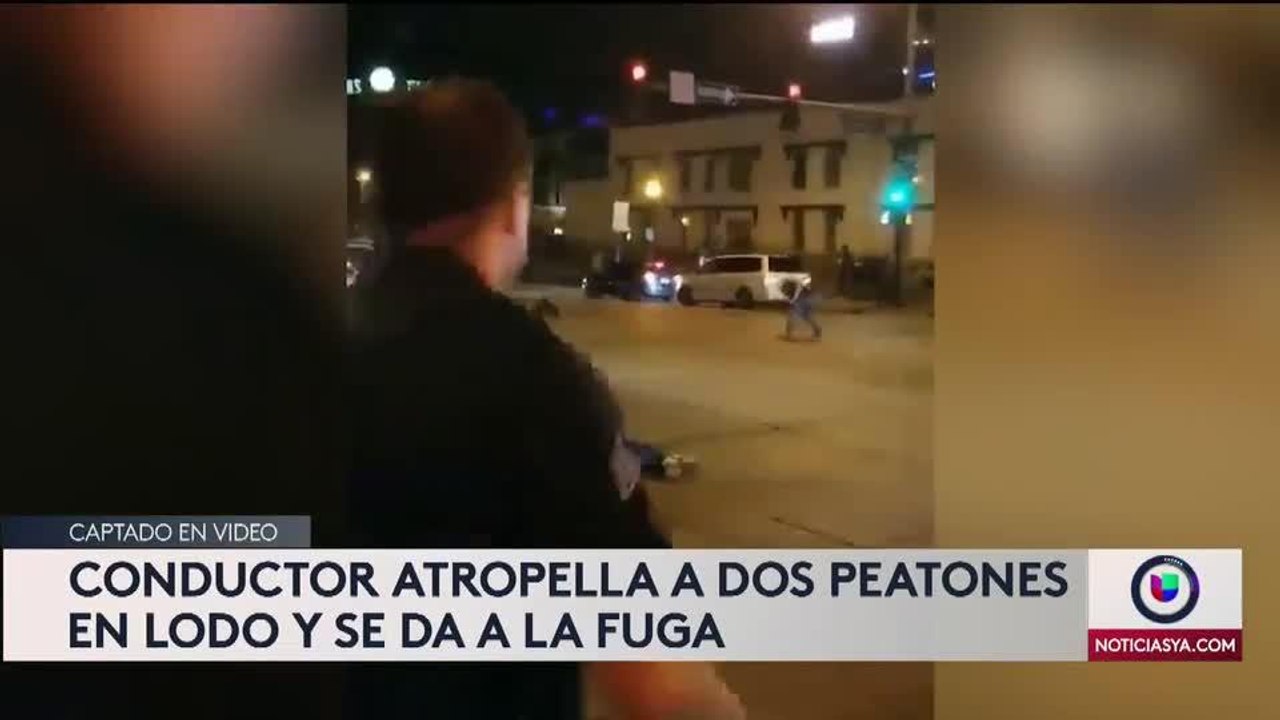 atropellamiento