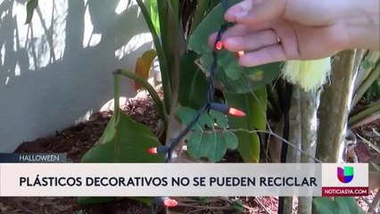 Campaña en el Condado Hillsborough por Halloween