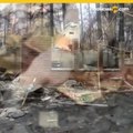 Despiden a 3 empleados de limpieza en Camp Fire por imágenes insensibles