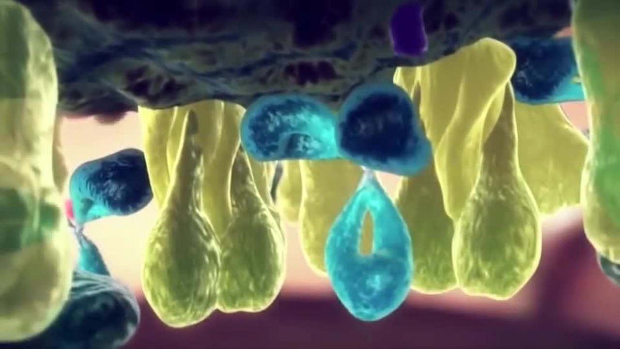 Estos son los estados con más casos reportados de influenza