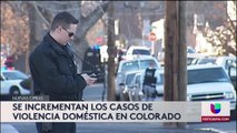 Siete personas mueren por violencia doméstica (VIDEO)