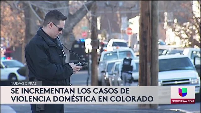 Siete personas mueren por violencia doméstica (VIDEO)