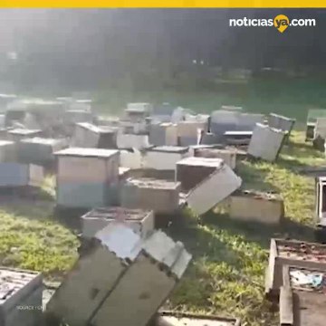 Incendian colmenas de abejas