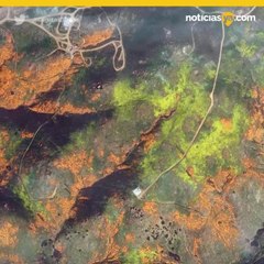 Amapolas desde el espacio