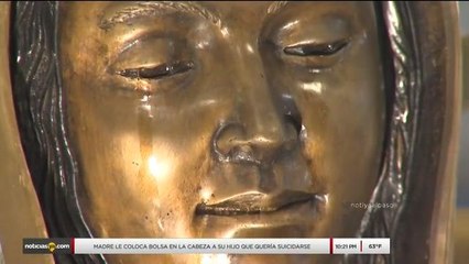 Virgen de Hobbs 2da Parte