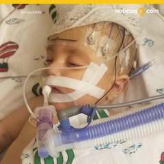 Urge trasplante parcial de hgado para beb de 4 meses