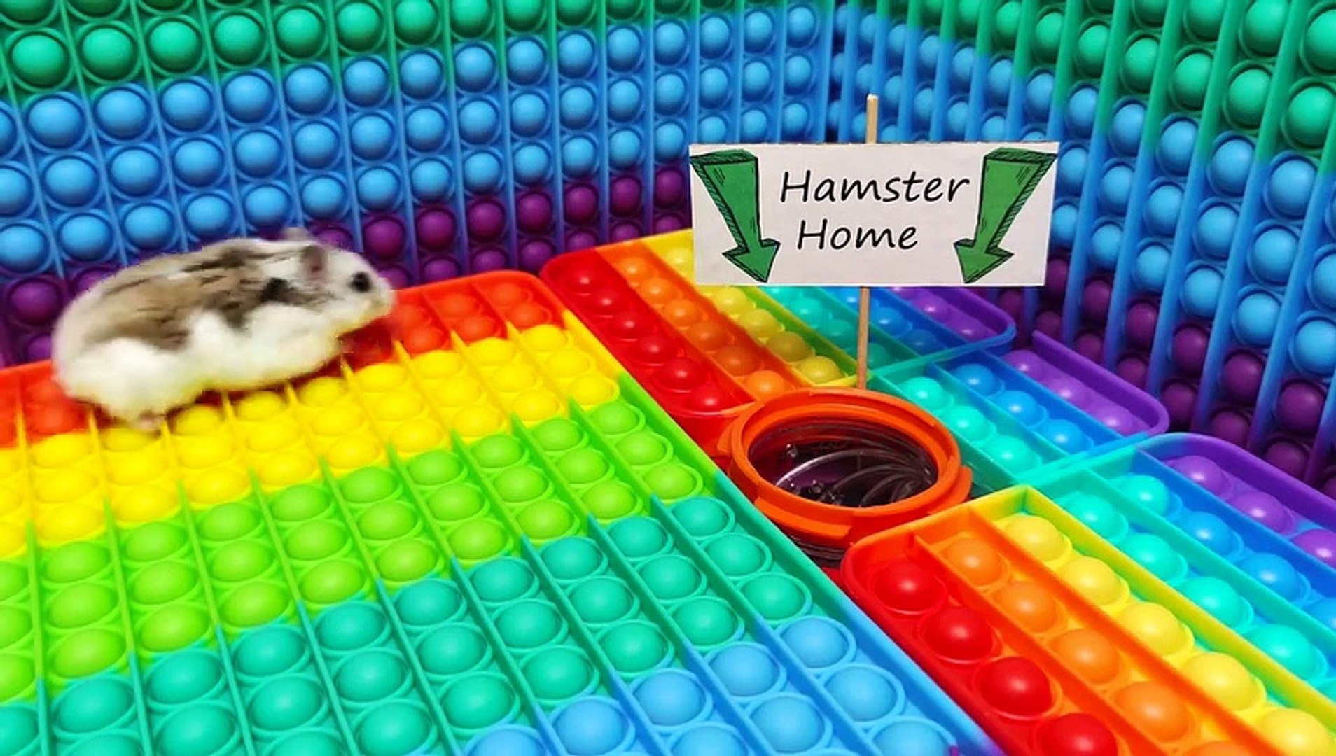 ⁣Hamster Pop It Maze - little Pet