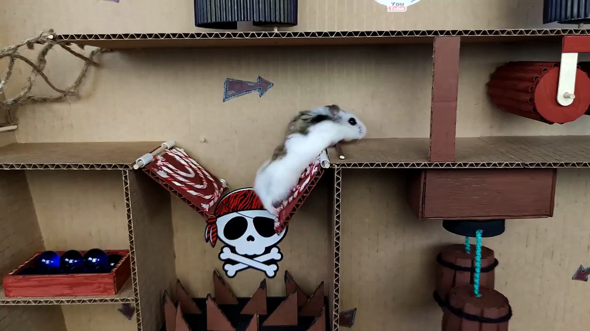 ⁣Hamster and Marble Run in the awesome Ship maze for pets in real life