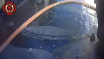 Oakland firefighters rescue, resuscitate puppies - Story  KTVU - httpwww.ktvu.comnewsoakland-firefighters-rescue-resuscitate-puppies (1)