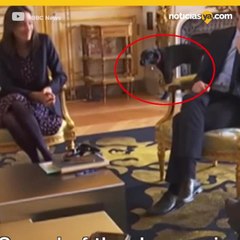 perro presidencial orina en plena junta