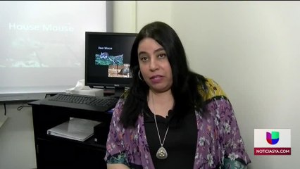 HANTAVIRUS-VENTURA-NEVADA-082119