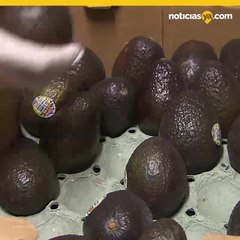 VIDEO: Alertan sobre contaminación de listeria en aguacates sin lavar