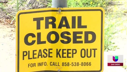 Cierran sendero de San Diego por ataque de puma a niño de 4 años