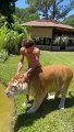 Best Funny Animal Videos of the year (2021), funniest animals ever. relax with cute animals.AWW anim ( 480 X 270 )