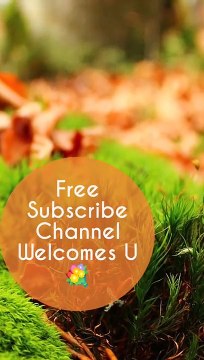 Tamil College Girls and Boys Funny Dubsmash Videos _ Tik Tok Random Collections _ Part 2 ( 720 X 406 )