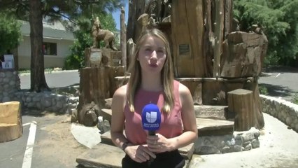 Nueva encuesta encuentra que los Californianos se niegan a que se construyan casas en areas forestales