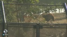 Bad air bad for business at the Oakland Zoo - Story  KTVU - httpwww.ktvu.comnewsbad-air-bad-for-business-at-the-oakland-zoo