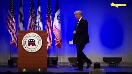 LOS DESPIDOS DE TRUMP