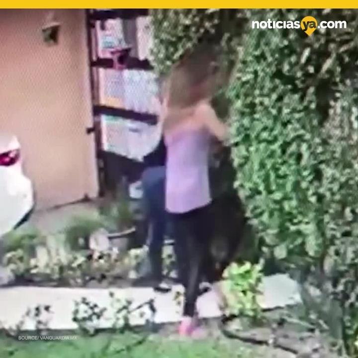 Golpiza Maestra