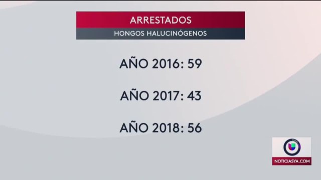 HONGOS COLORADO PKG 050919