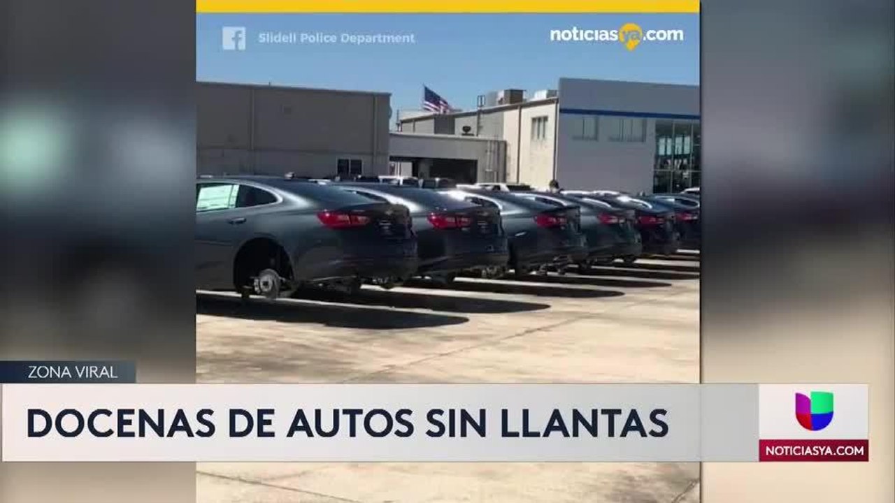 Zona viral