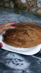 How to grow indoor  money plant .