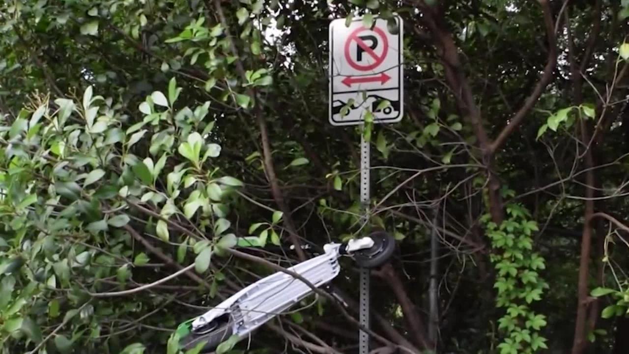 SCOOTERS  SC
