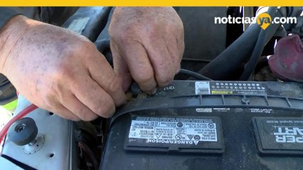 Actividad en Modulo Programa Paisano