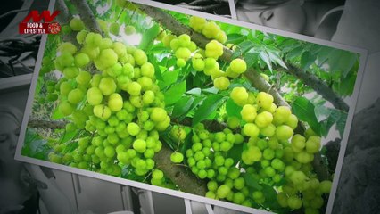 Diet for People Living with Diabetes: The Best Foods to Choose and Mo