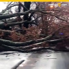 tormenta sureste eeuu