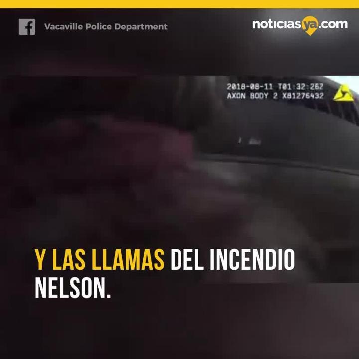 rescate animales incendio nelson