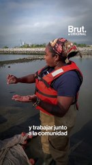 Esta mujer quiere salvar el puerto de Nueva York con ostras