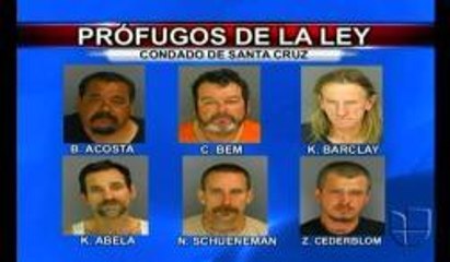 Prófugos de la ley
