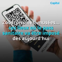 Zoos, piscines, musées… ces lieux où le pass sanitaire va être imposé dès mercredi (2)