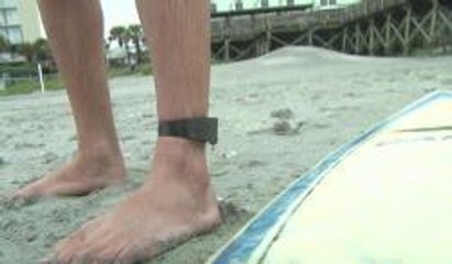 Mantenga alejado a los tiburones