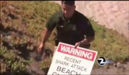 Shark Attack Closes Beaches Near Vandenberg AFB