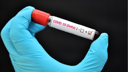 Le variant Delta va stopper la baisse des hospitalisations selon l'Institut Pasteur
