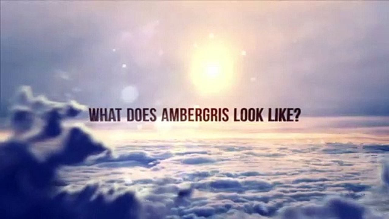 What Does Ambergris Look Like?