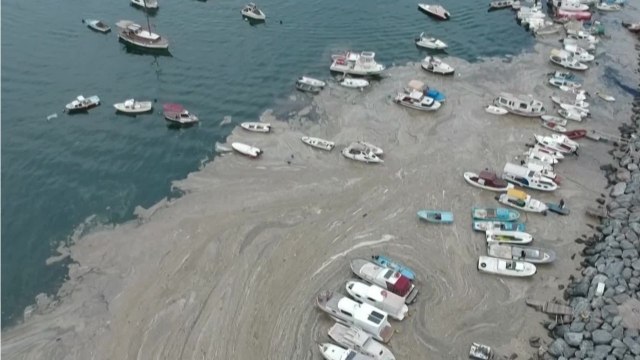 Réchauffement climatique, pollution... les côtes de Turquie face à un inquiétant phénomène