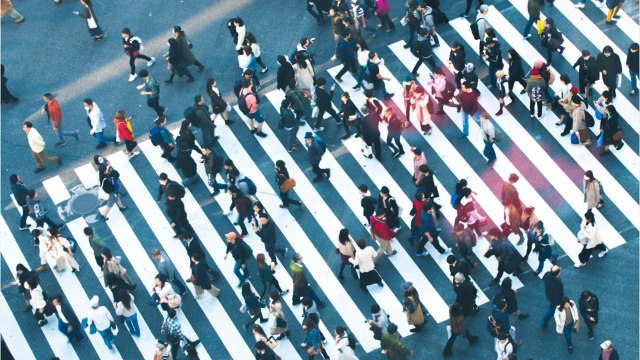 Y a-t-il de fortes inégalités de revenus dans votre région ou votre ville ?