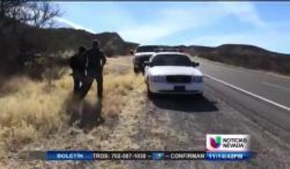 Coyotes o criminales